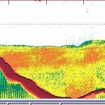 Deep krill graph