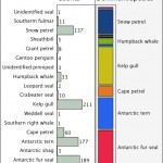 Graph of sightings