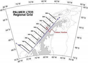 Palmer LTER Grid