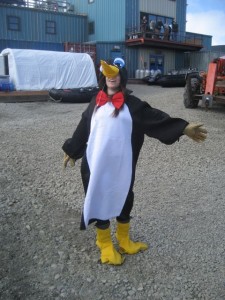 Katie the Penguin
