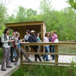 nicnats saws dnh group april 2012