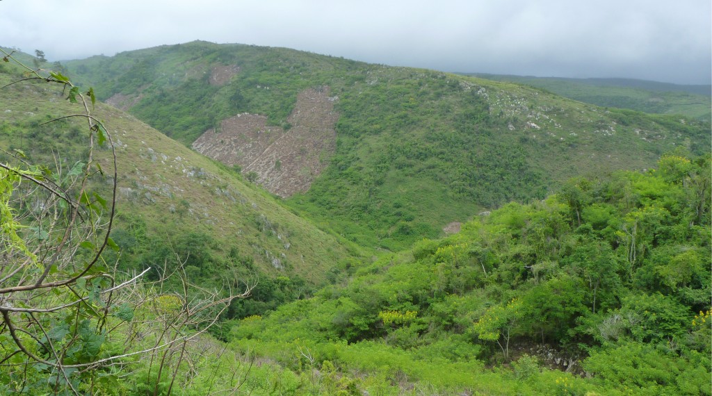 This landscape looks like Haiti, but is actually part of a Dominican National Park