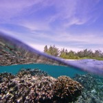 CoralView