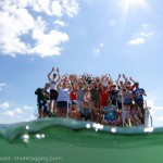 shark_tagging_group