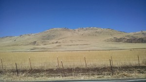 Golden brown California foothills after 4 years of drought