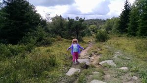 Dolly Sodds Wilderness Area, West Virginia (credit: Janet Larsen)