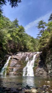 Laurel Canyon Falls, Tennessee (credit: Janet Larsen)