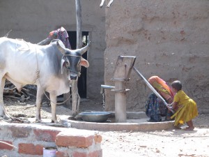 Hand pump, taken by Alec Shannon, Rajasthan