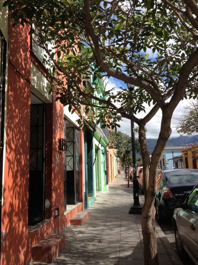 Oaxaca historic downtown