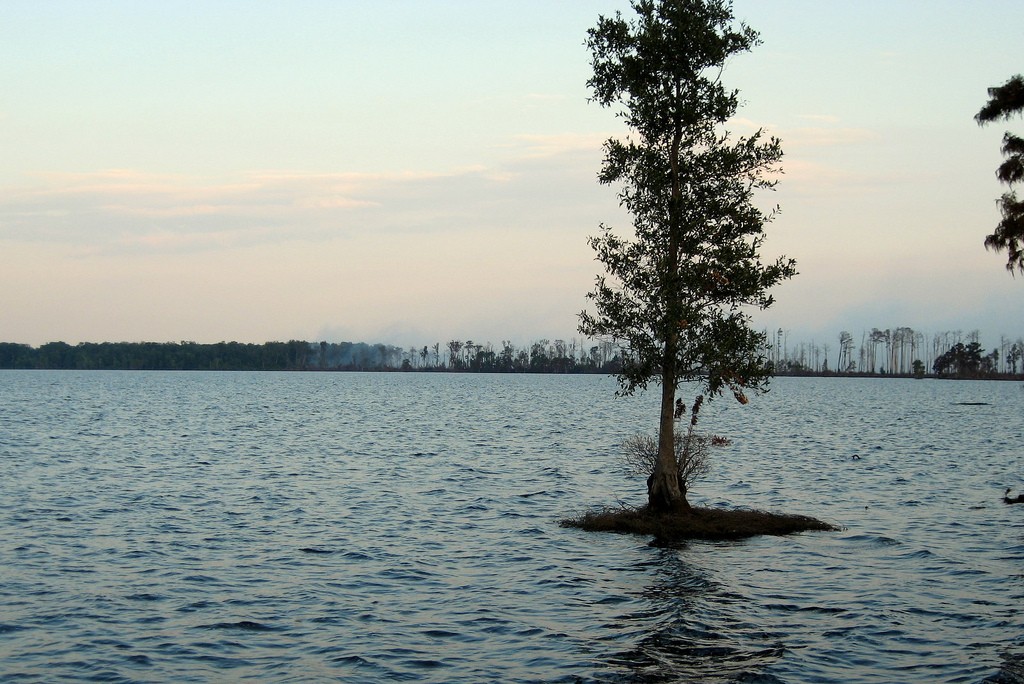 Lake Drummond by FWS