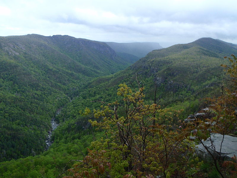 Linville Gorge Wilderness Area. Photo public domain.