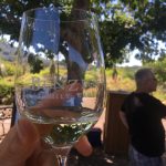 wine1