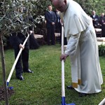 francis-garden