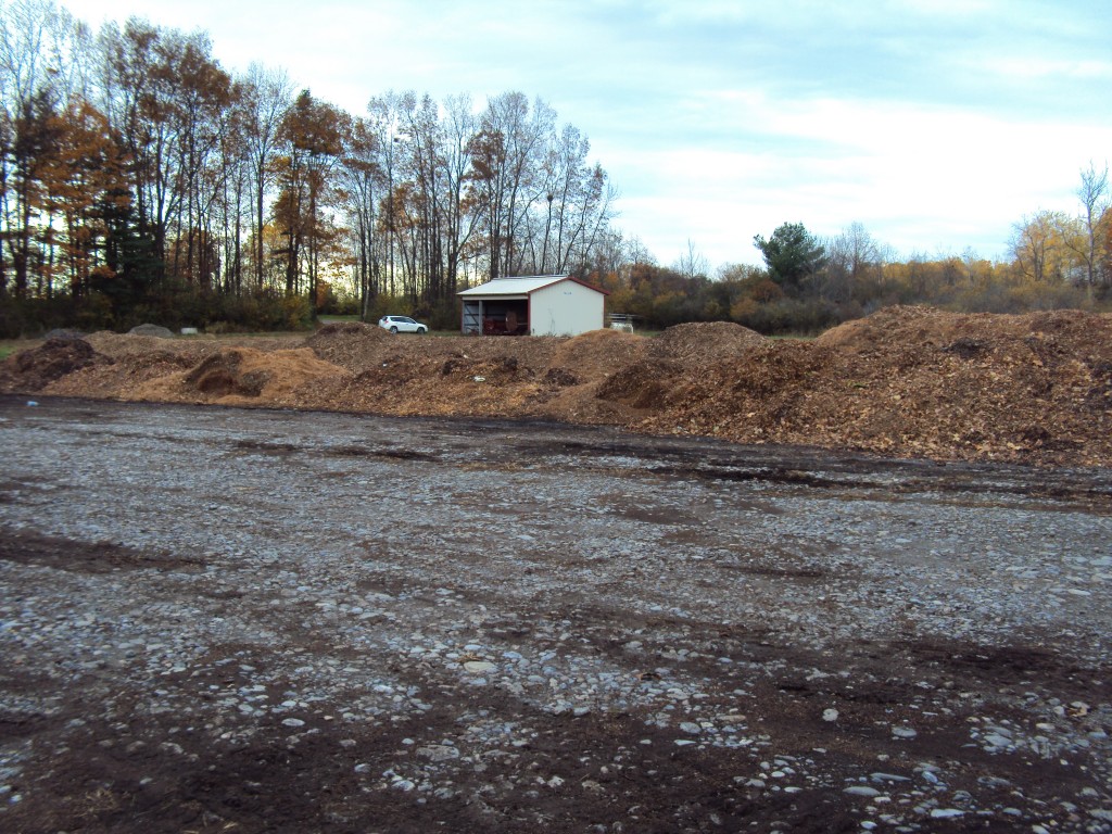 One of the younger compost piles.