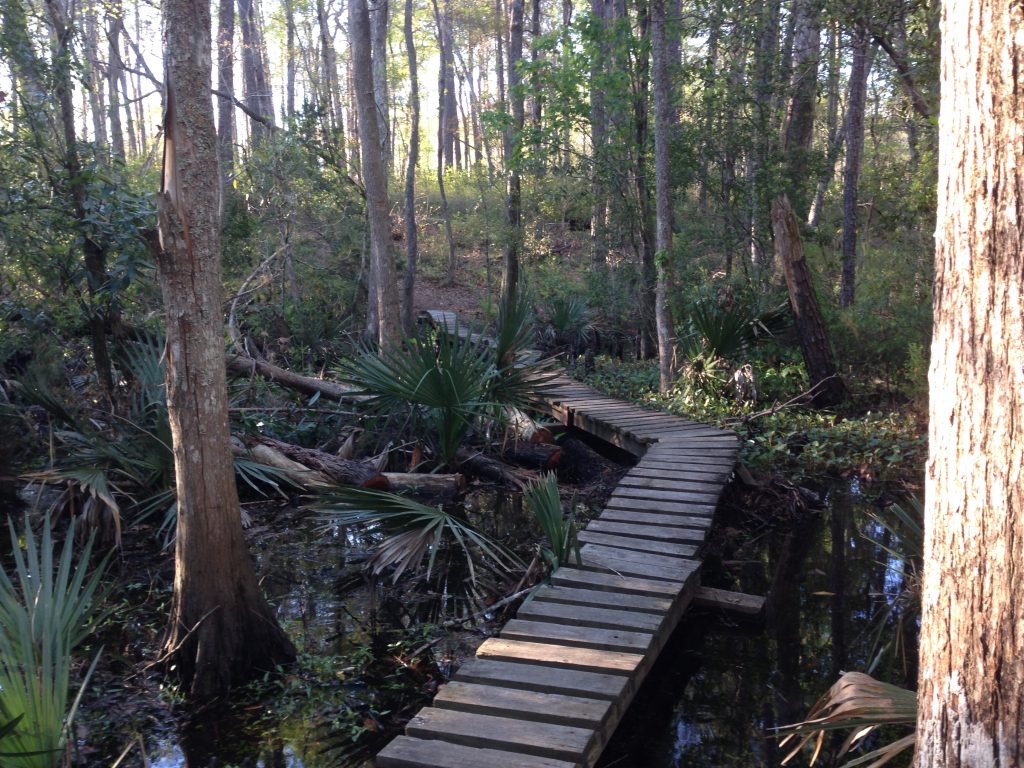 Neusiok Trail boardwalk