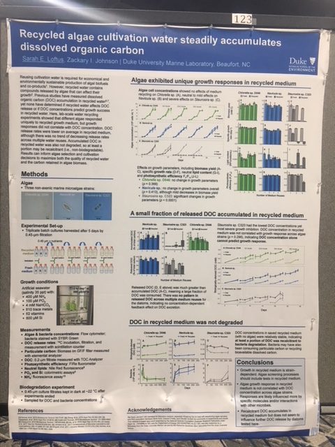 scientific poster size