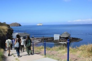 Walk down to pearl oyster farm