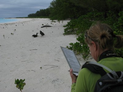 NMFS biologist, Tracy Wurth, records data on the monk seal before deciding if approaching is necessary. 