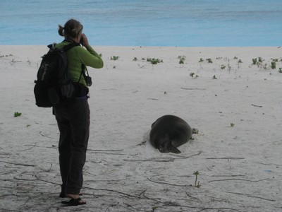 In an effort to get a better look at a flipper tag, Tracy approaches the animal quietly to photograph. 