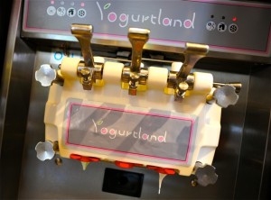 The class visits Yogurtland for the first time 