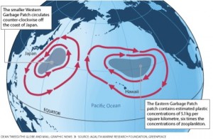 The Great Pacific Garbage Patch is actually the amalgamation of the Eastern and Western Garbage Patches, which occur in the Pacific Ocean, north of Hawaii. 