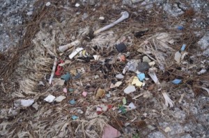 Marine Debris