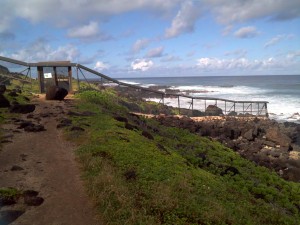 The doorway through the predator-proof fence