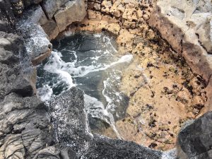 Small tidal pool with o'pi'hi and ha’uke’uke.