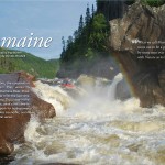 Romaine_cover