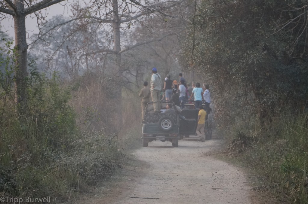 Kaziranga-18