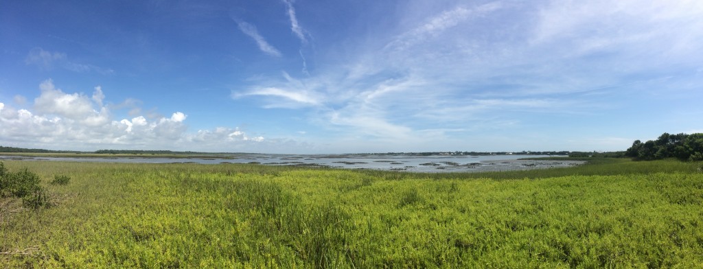 What is marsh grass called?