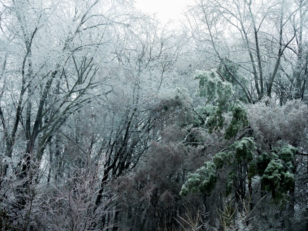 outdoor devil ice storm