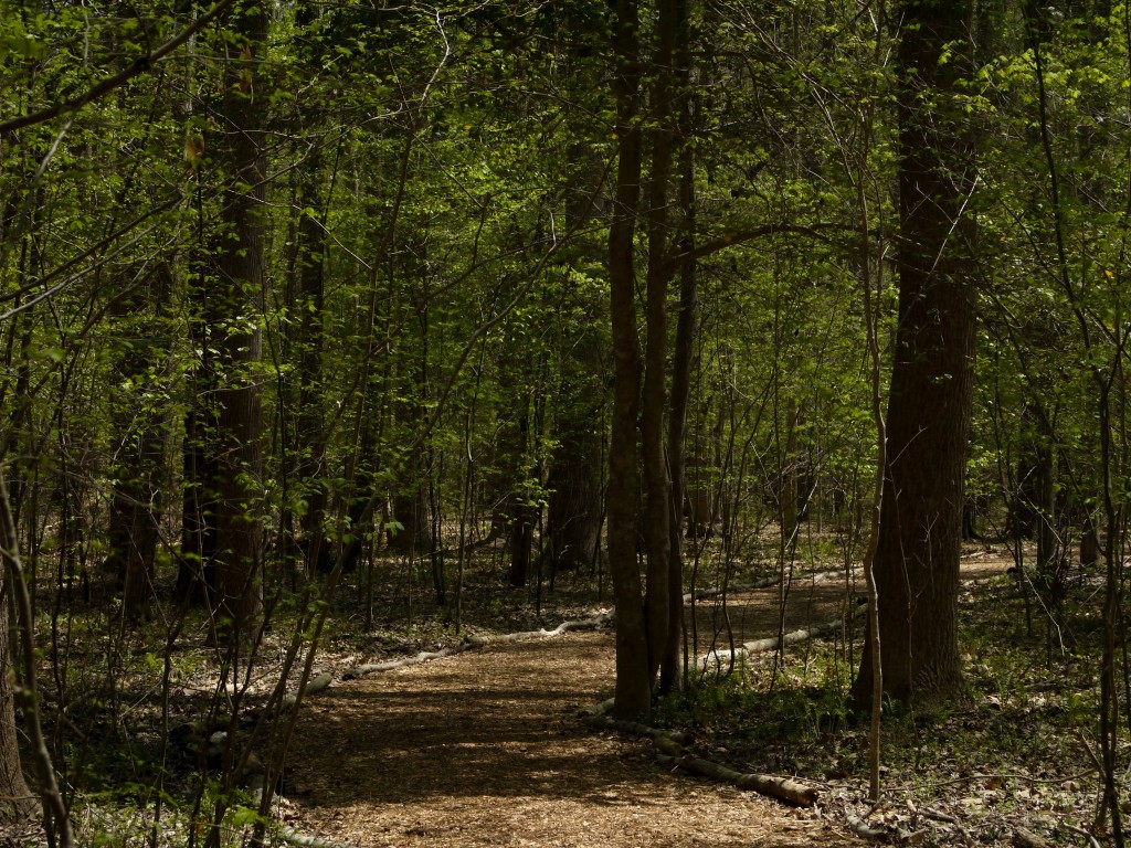 Hemlock Bluffs nature preserve outdoor devil