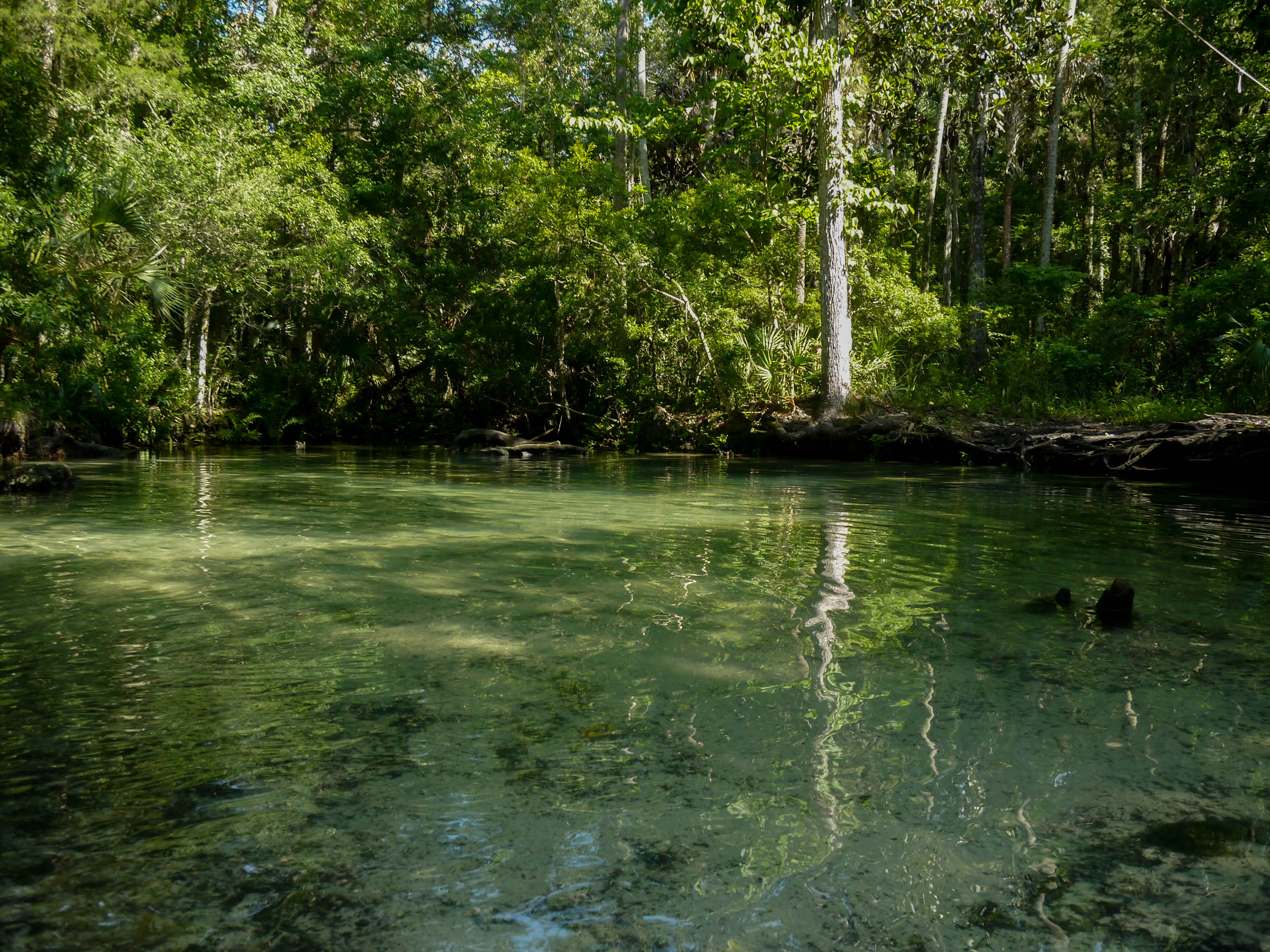 Addicted To National Wildlife Refuges Chassahowitzka Florida