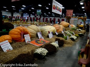 north carolina, state fair, pumpkins, vegetables