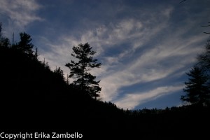 linville gorge, sunset, wilderness, tree, forest, nature, silhouette