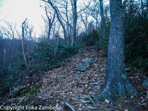 trail, hiking, linville gorge, north carolina