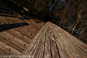 boardwalk, yates mill, historic park, north carolina, birding 