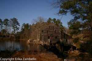 boardwalk, yates mill, historic park, north carolina, birding 