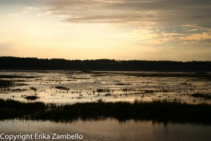 lake mattamuskeet, sunset, water, waterfowl, birding, north carolina, outdoor devil