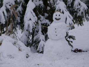 duke gardens, snow, winter, snowman