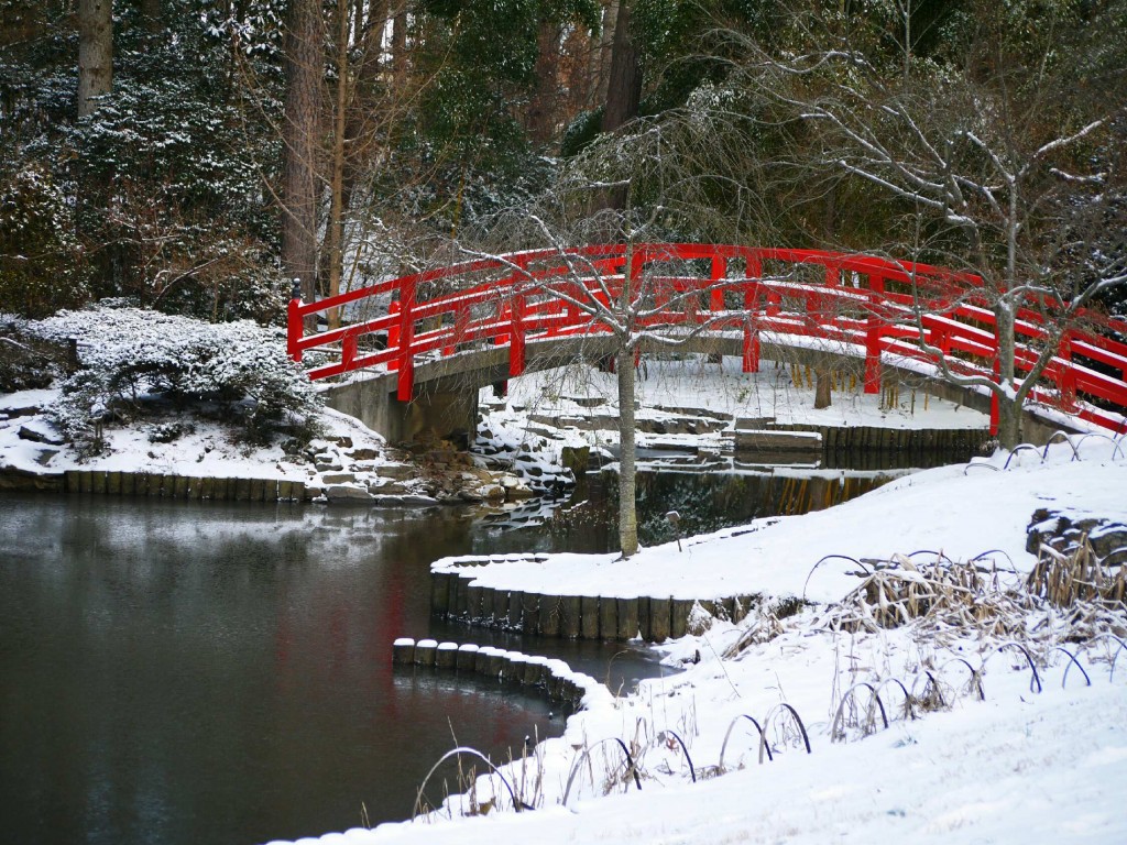 duke gardens, duke, snow, winter