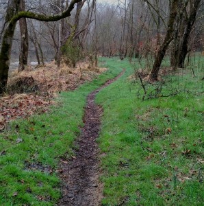 penny's bend, north carolina, birding, eno