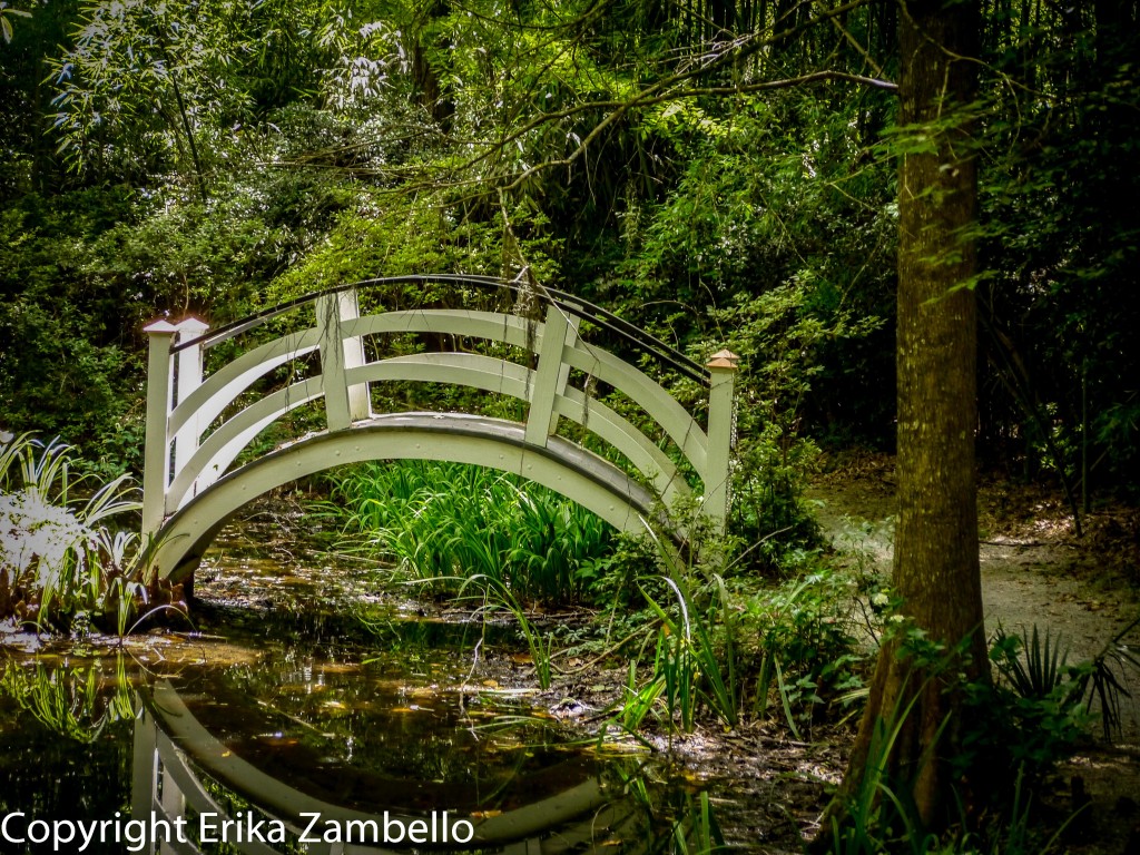 magnolia garden, bridge, south carolina