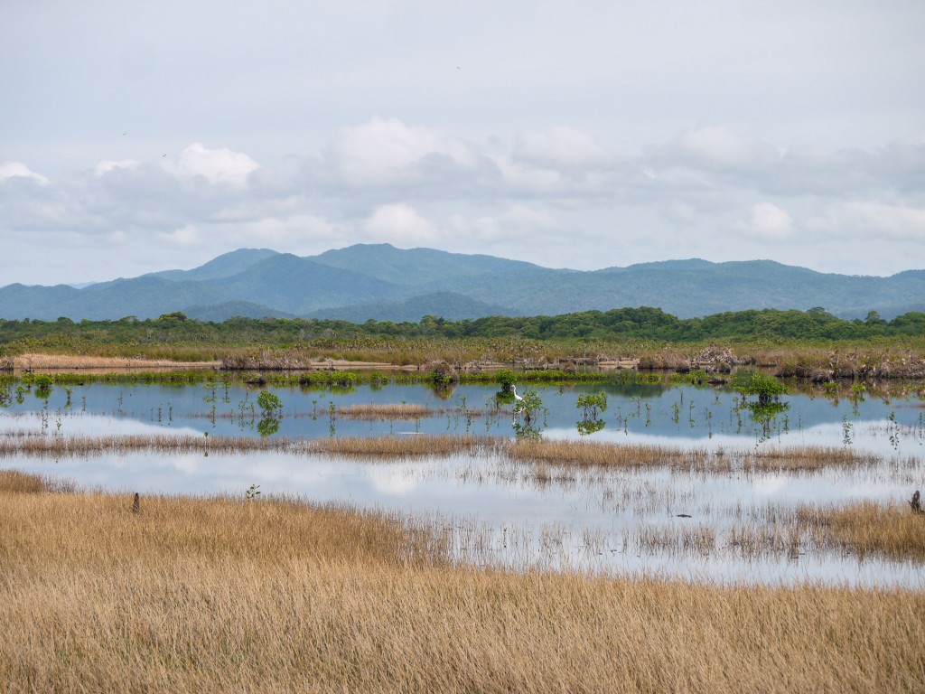 hopkins, belize