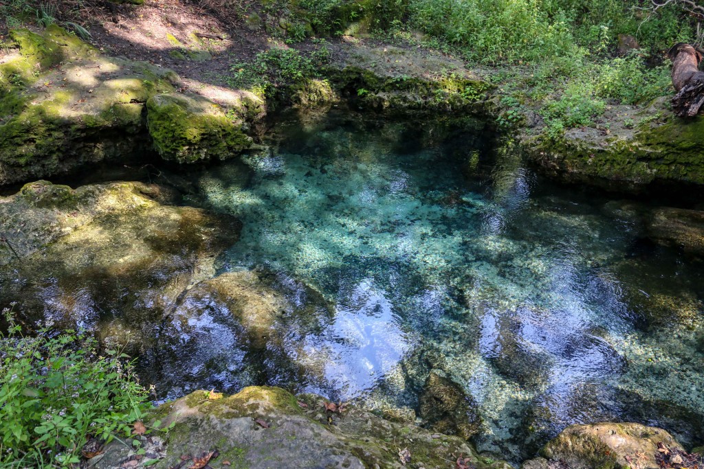 florida, spring, water