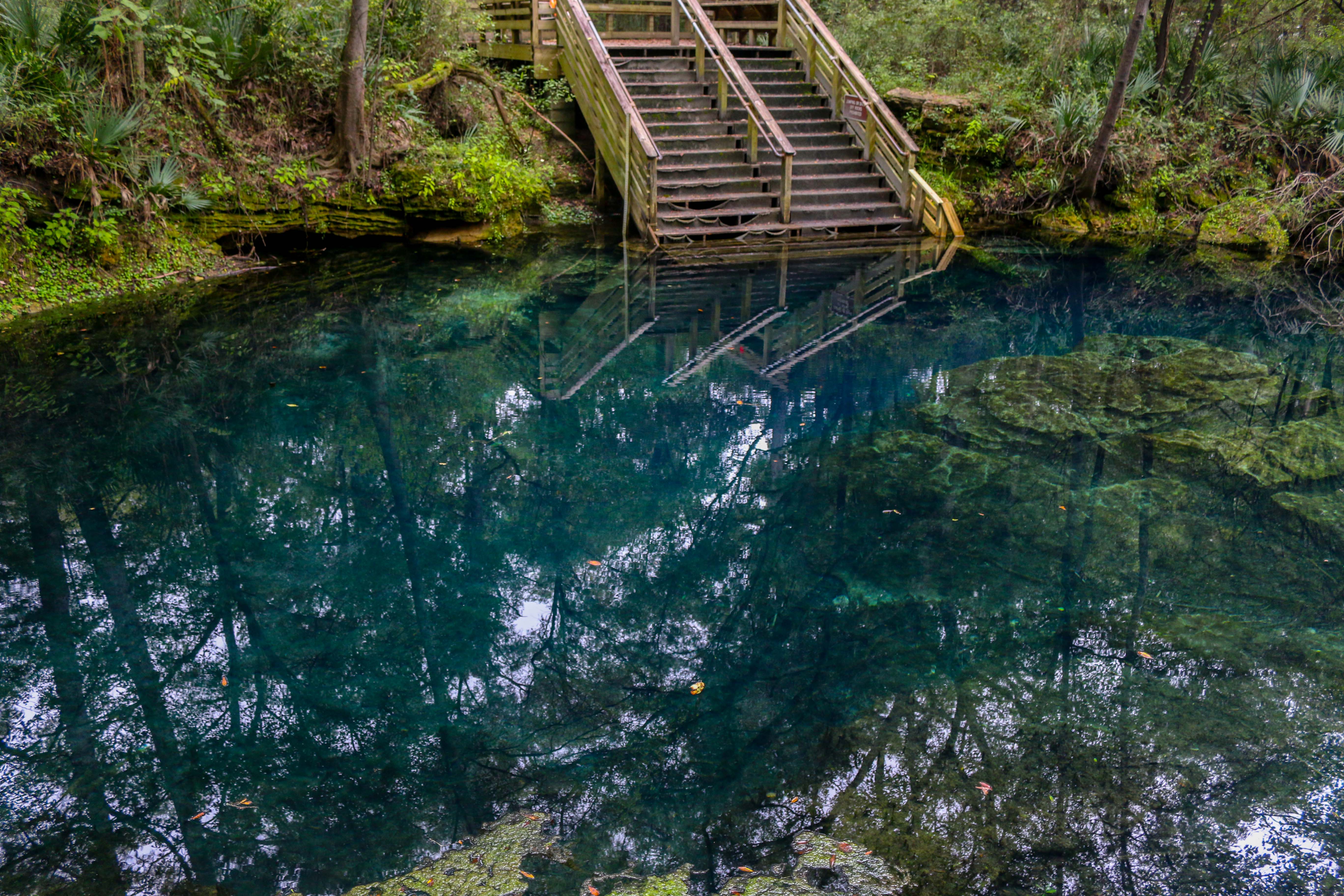 The Unique Geology that Creates Florida Springs Outdoor Devil