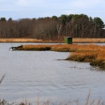 optoutside, rei, audubon, birding, hiking