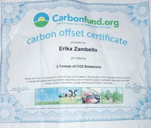carbon fund, offset