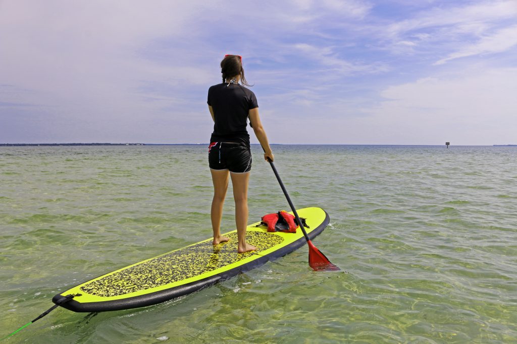 nature, paddle, paddleboard, florida